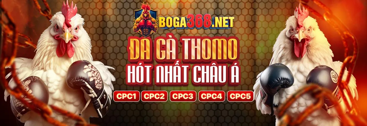 Đá gà kịch tính tại 888sport chính thức